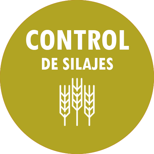 Control de Silajes