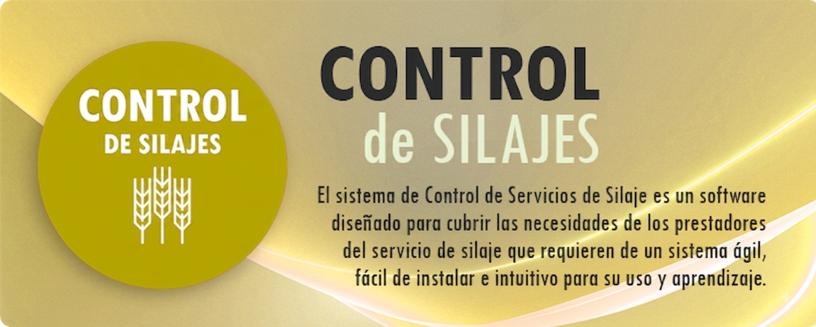 Control de Silajes
